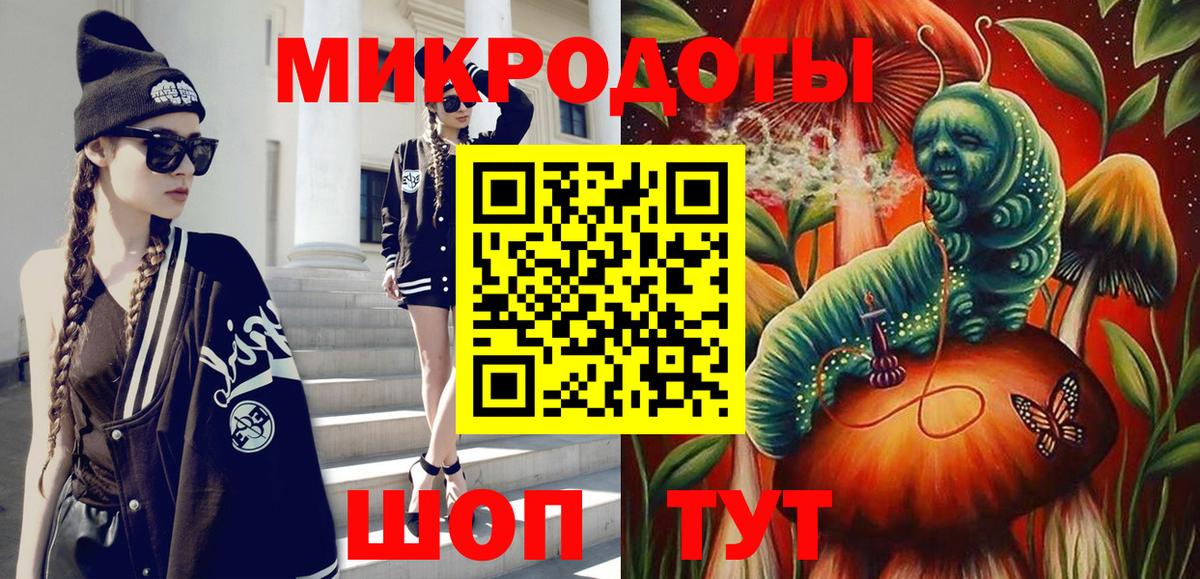 Псилоцибиновые грибы Psilocybine cubensis Балтийск