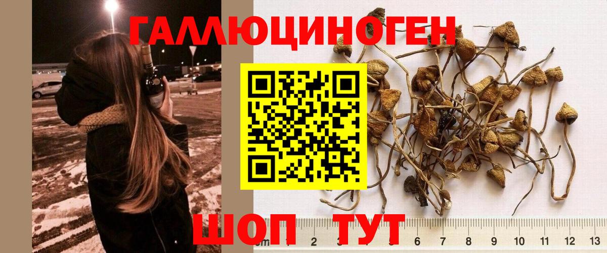 Псилоцибиновые грибы MAGIC MUSHROOMS  Псилоцибиновые грибы мицелий  Балтийск  Вход с VPN 