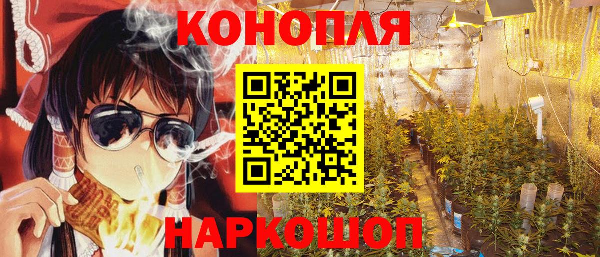 Бошки марихуана VHQ Балтийск